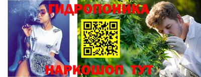 прущий лед Обь